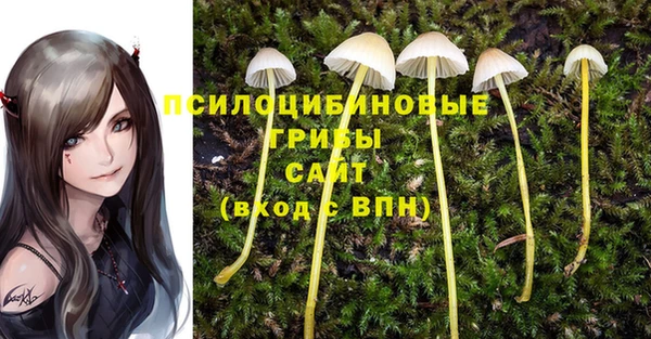 хмурый Коряжма