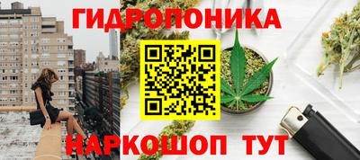 СК Краснодар