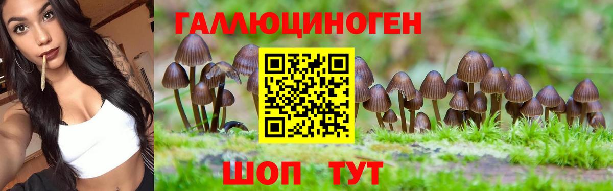 Мелеуз  Галлюциногенные грибы Psilocybine cubensis  Вход с VPN 