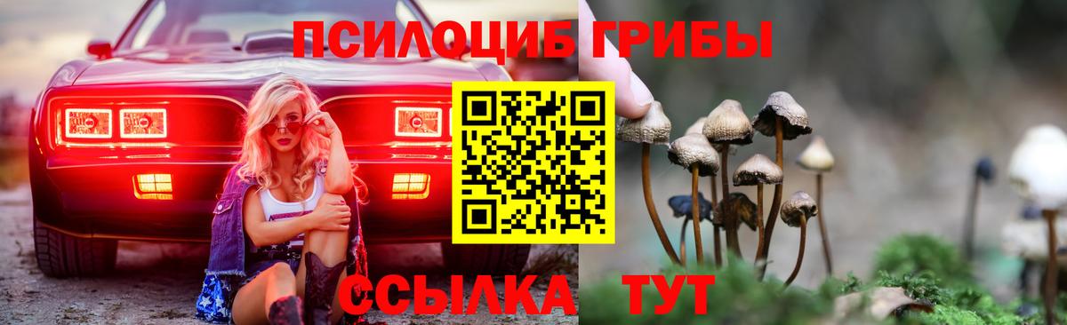 Псилоцибиновые грибы Psilocybe Мелеуз